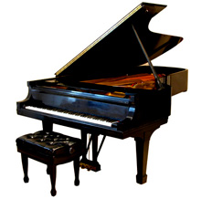 Pianina a klavry 300400 kg